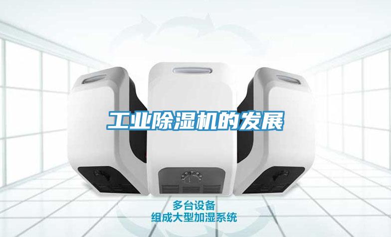 工業91看片网站的發展