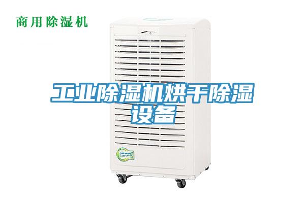 工業91看片网站烘幹除濕設備