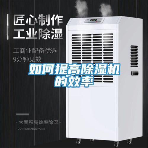 如何提高91看片网站的效率
