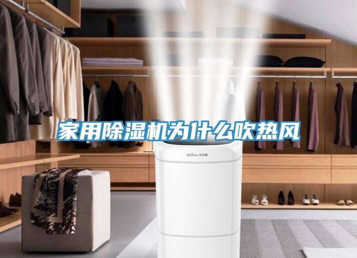 家用91看片网站為什麽吹熱風