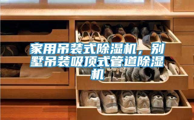 家用吊裝式91看片网站，別墅吊裝吸頂式管道91看片网站