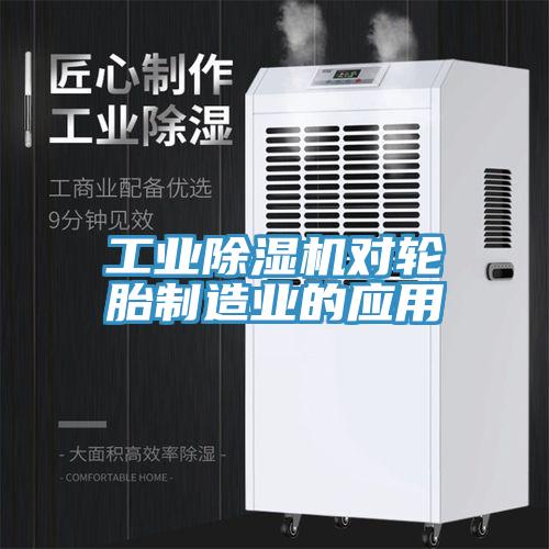工業91看片网站對輪胎製造業的應用