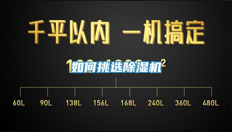 如何挑選91看片网站