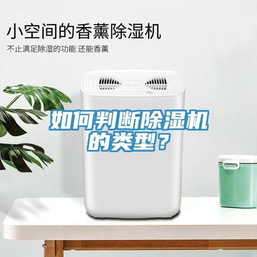 如何判斷91看片网站的類型？
