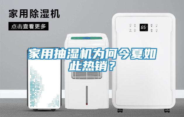 家用抽濕機為何今夏如此熱銷？