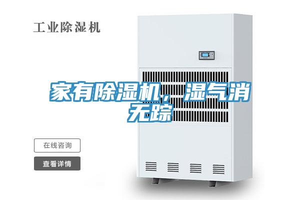 家有91看片网站，濕氣消無蹤