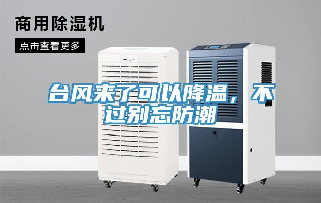 台風來了可以降溫，不過別忘防潮