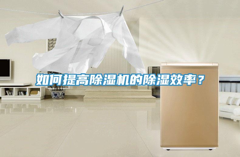 如何提高91看片网站的除濕效率？