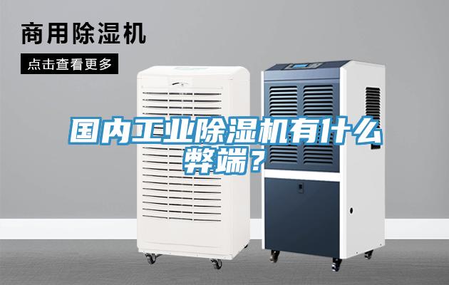 國內工業91看片网站有什麽弊端？