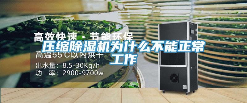 壓縮91看片网站為什麽不能正常工作