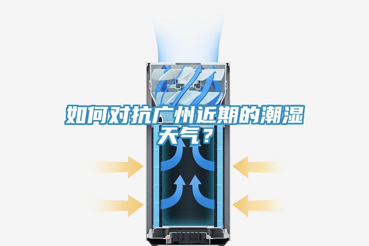 如何對抗廣州近期的潮濕天氣？