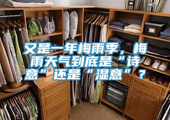 又是一年梅雨季，梅雨天氣到底是“詩意”還是“濕意”？