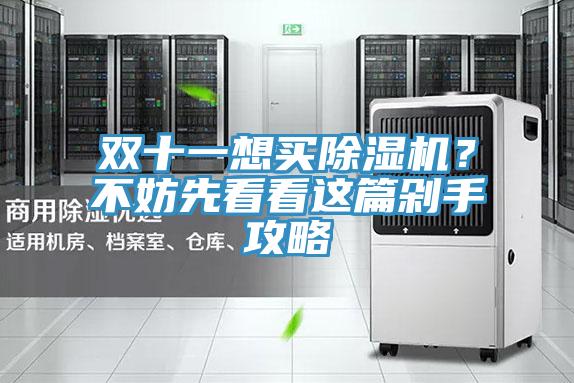 雙十一想買91看片网站？不妨先看看這篇剁手攻略