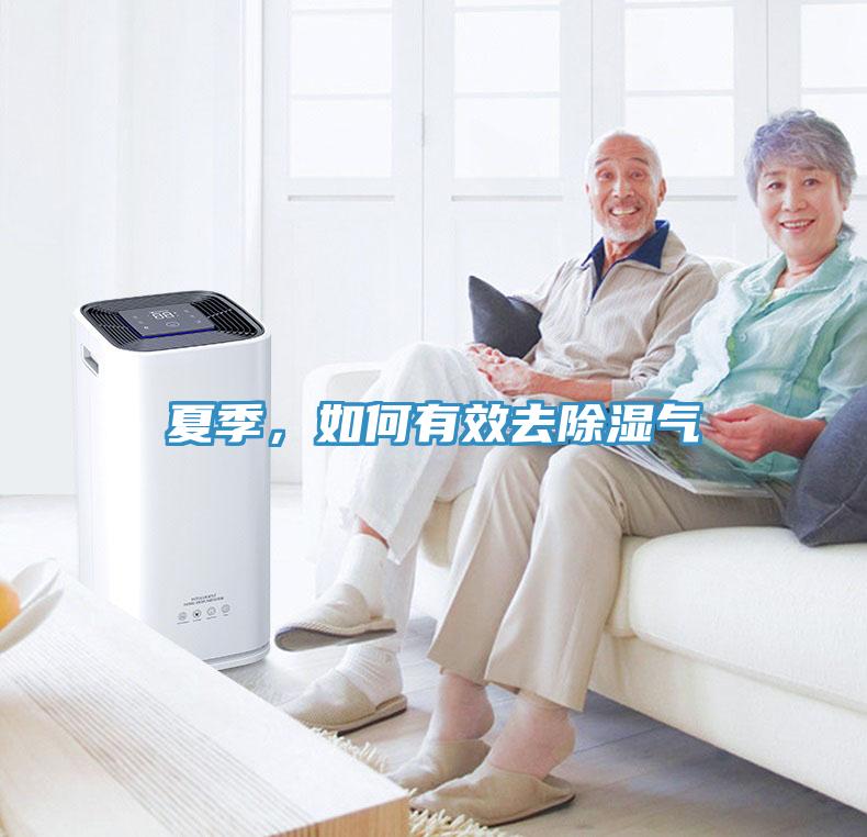 夏季，如何有效去除濕氣