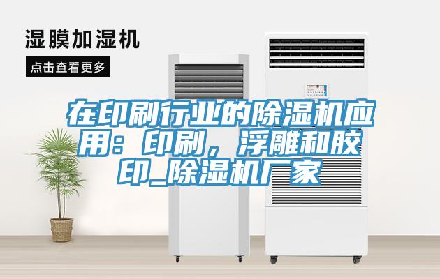 在印刷行業的91看片网站應用：印刷，浮雕和膠印_91看片网站廠家