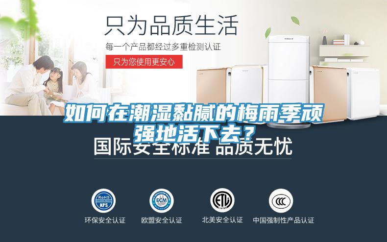 如何在潮濕黏膩的梅雨季頑強地活下去？
