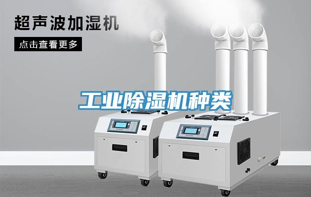 工業91看片网站種類