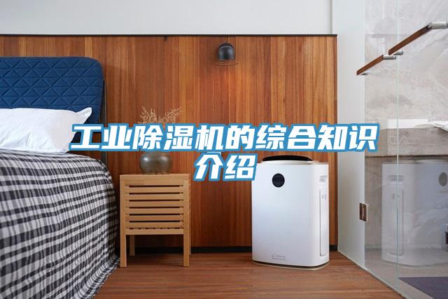 工業91看片网站的綜合知識介紹