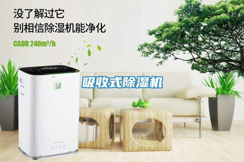 吸收式91看片网站