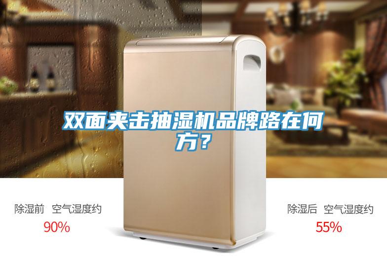 雙麵夾擊抽濕機品牌路在何方？