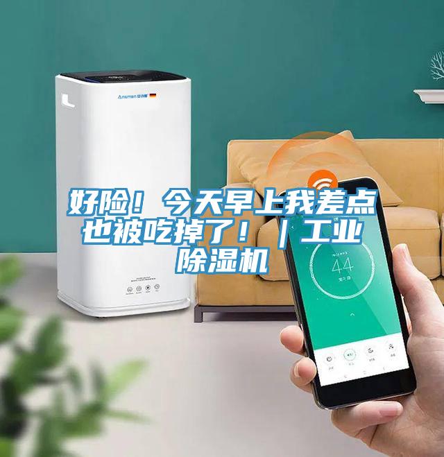 好險！今天早上我差點也被吃掉了！｜工業91看片网站