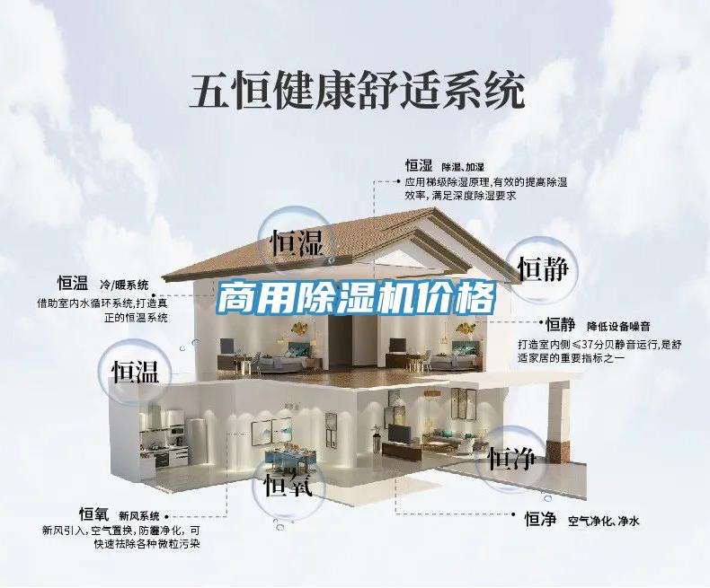 商用91看片网站價格