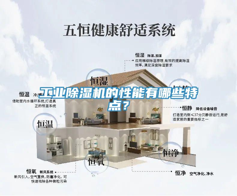 工業91看片网站的性能有哪些特點？