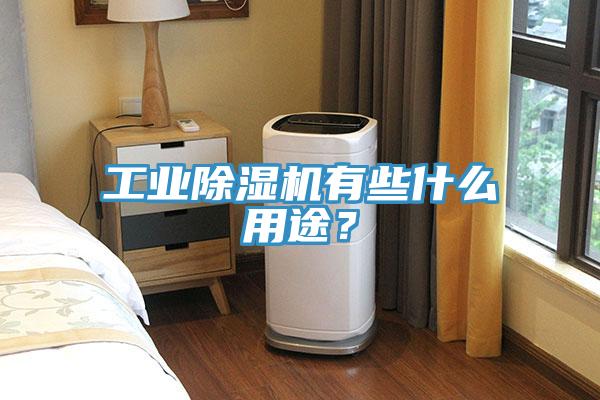 工業91看片网站有些什麽用途？