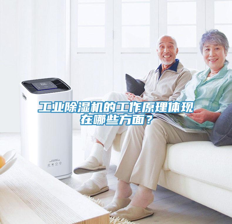 工業91看片网站的工作原理體現在哪些方麵？