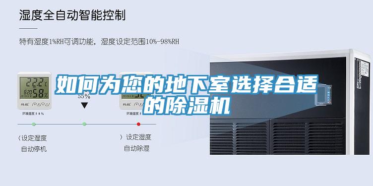如何為您的地下室選擇合適的91看片网站