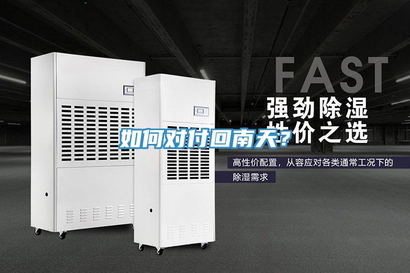 如何對付回南天？