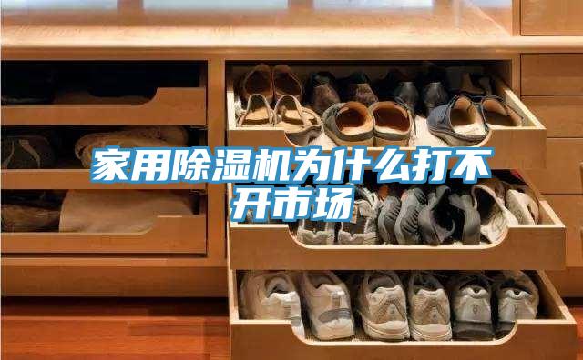 家用91看片网站為什麽打不開市場