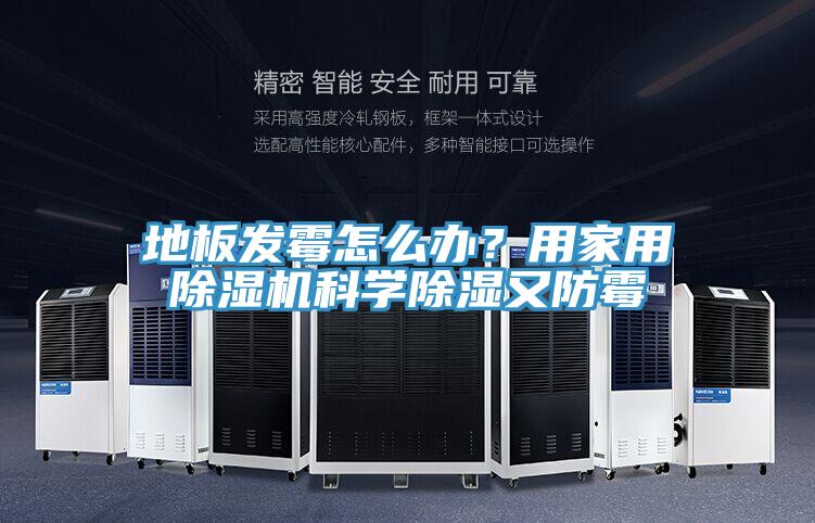 地板發黴怎麽辦？用家用91看片网站科學除濕又防黴