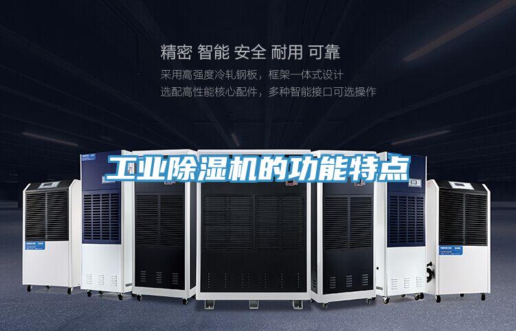 工業91看片网站的功能特點