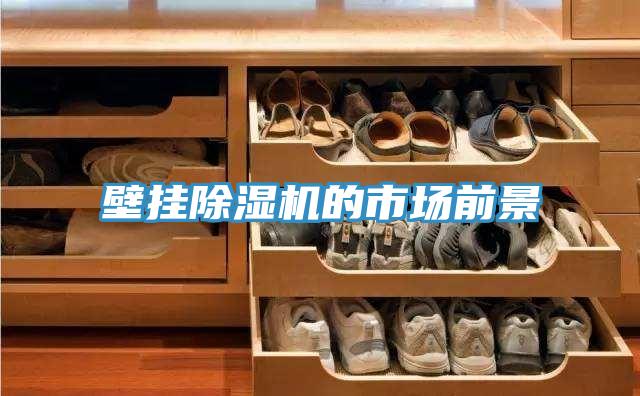 壁掛91看片网站的市場前景