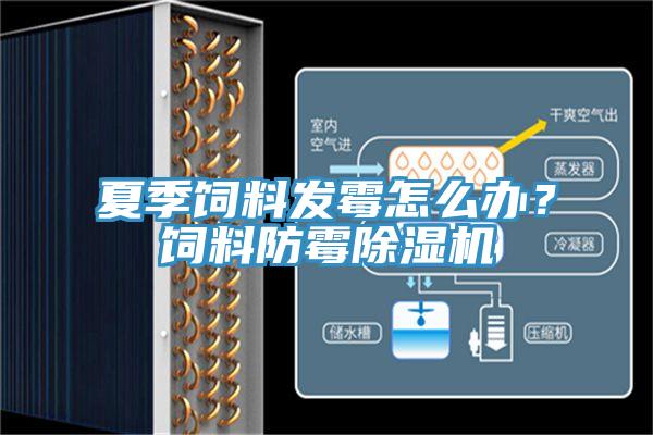 夏季飼料發黴怎麽辦？飼料防黴91看片网站