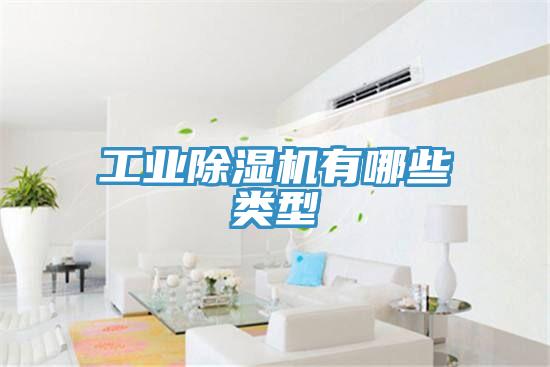 工業91看片网站有哪些類型
