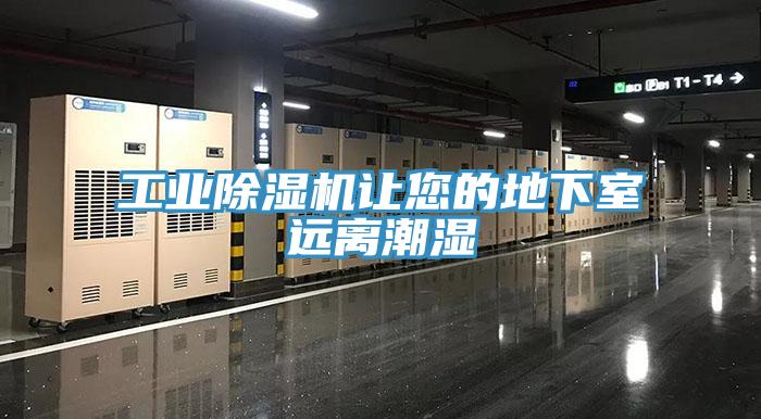 工業91看片网站讓您的地下室遠離潮濕