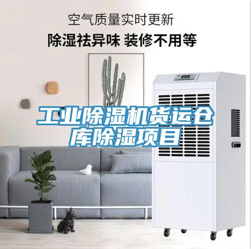 工業91看片网站貨運倉庫除濕項目