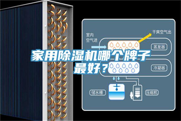 家用91看片网站哪個牌子最好？