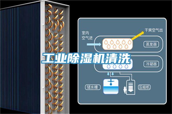 工業91看片网站清洗
