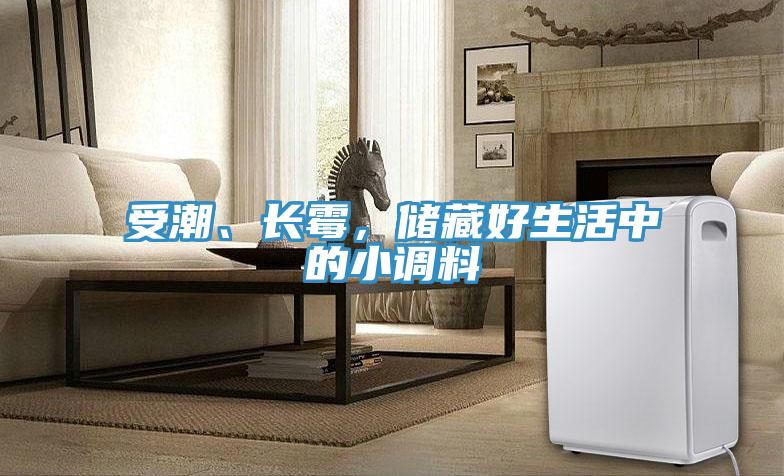 受潮、長黴，儲藏好生活中的小調料