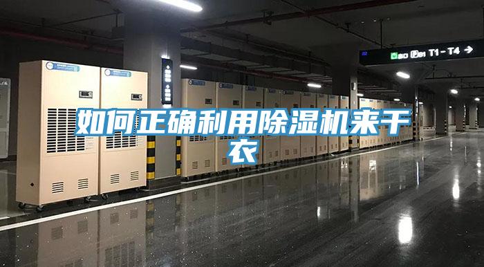如何正確利用91看片网站來幹衣