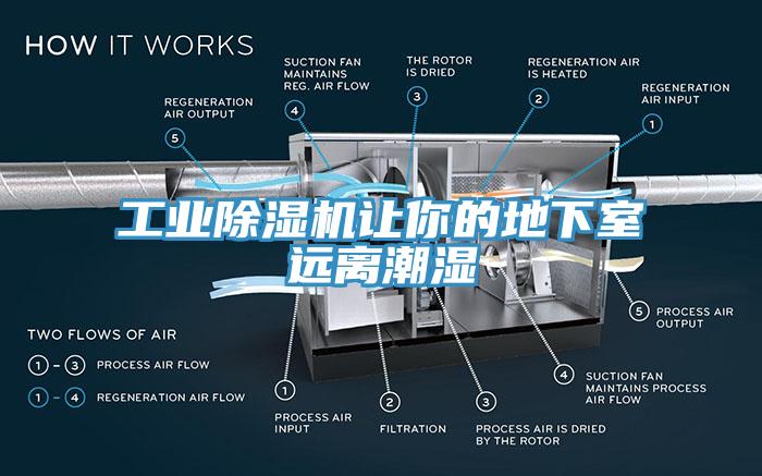 工業91看片网站讓你的地下室遠離潮濕