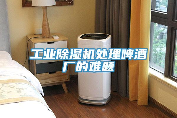 工業91看片网站處理啤酒廠的難題