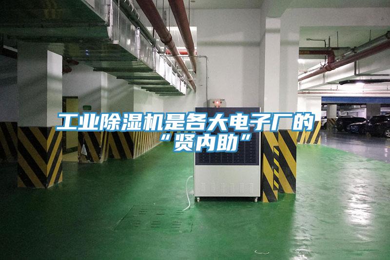 工業91看片网站是各大電子廠的“賢內助”