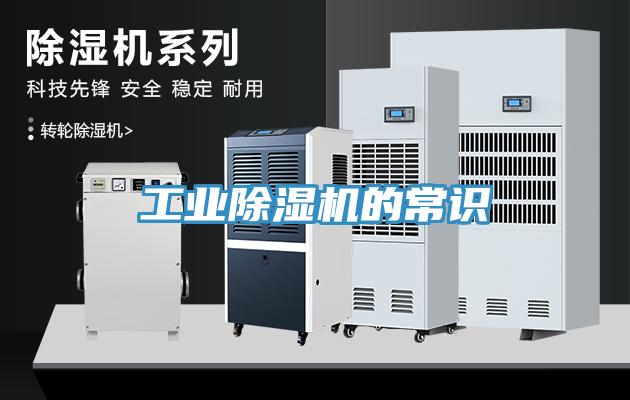 工業91看片网站的常識