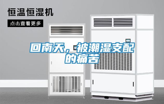 回南天，被潮濕支配的痛苦