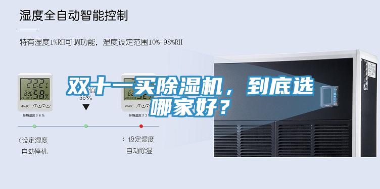 雙十一買91看片网站，到底選哪家好？