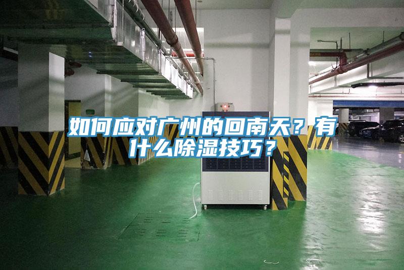 如何應對廣州的回南天？有什麽除濕技巧？